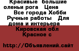 Красивые  большие оленьи рога › Цена ­ 3 000 - Все города Хобби. Ручные работы » Для дома и интерьера   . Кировская обл.,Красное с.